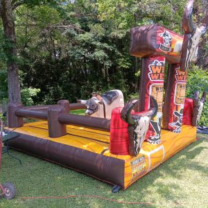 Conan the Bullbarian (Mechanical Bull, 4 hr rental)