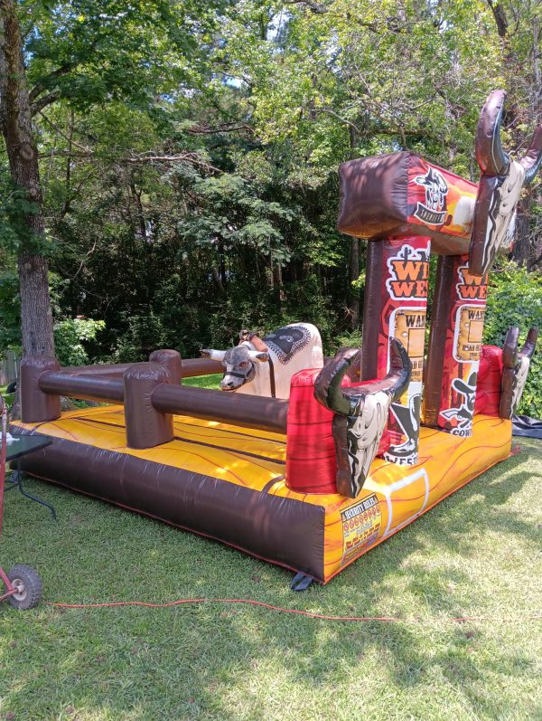 Conan the Bullbarian (Mechanical Bull, 4 hr rental)